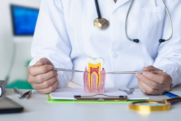 Best Emergency Root Canal Treatment in Roseville, CA